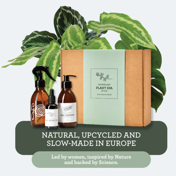 Presentkit för växtvård – Neemolja & växttvål - Image 4
