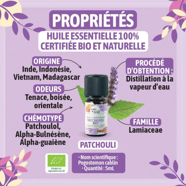 Patchouli eterisk olja – Ekologisk & jordig doft - Image 2